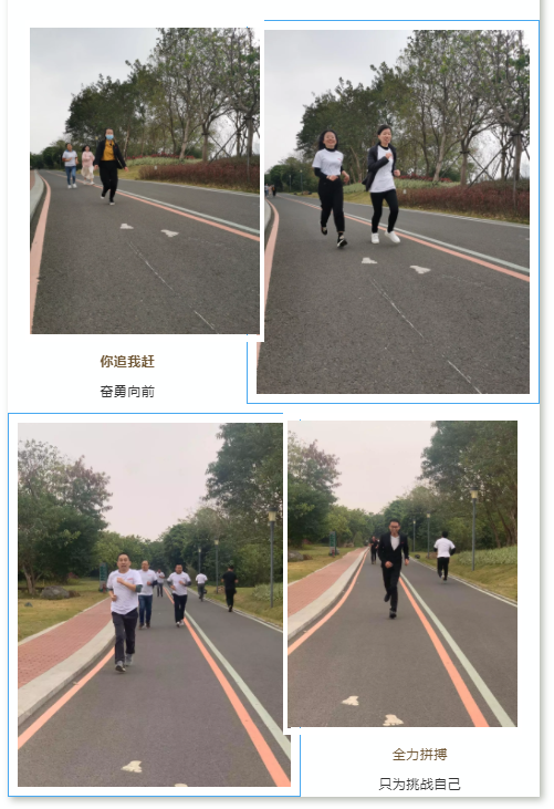 云鼎国际(中国)有限公司官网