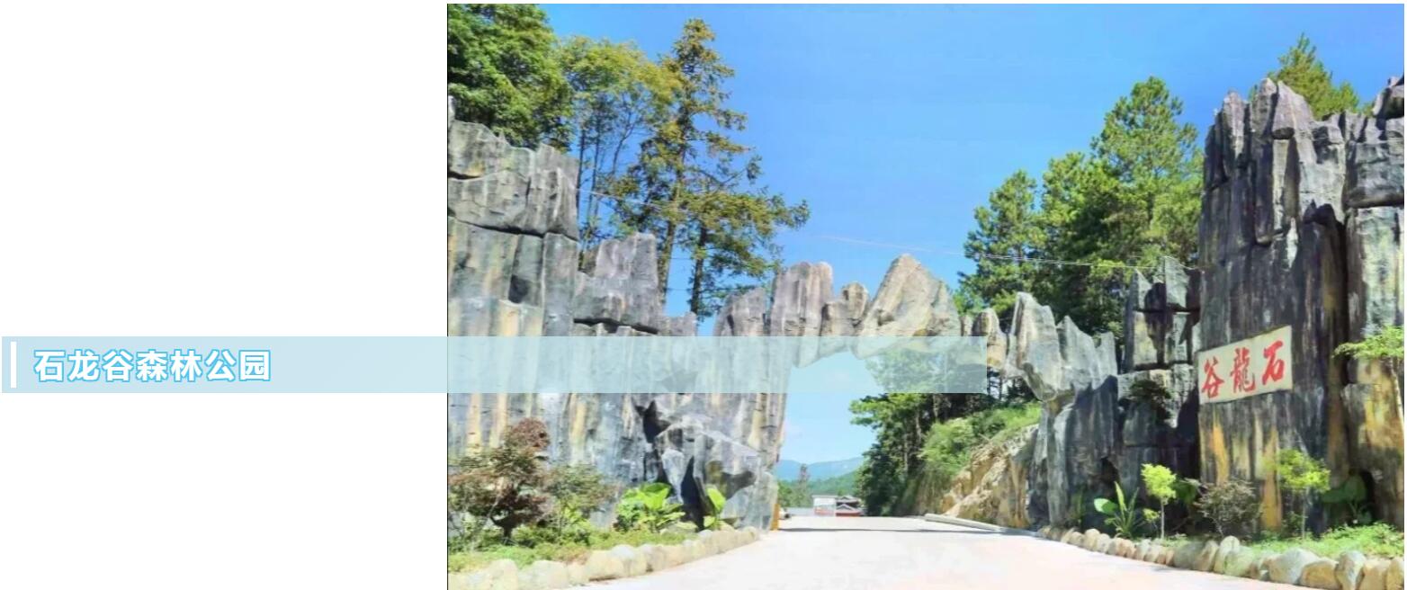 云鼎国际(中国)有限公司官网